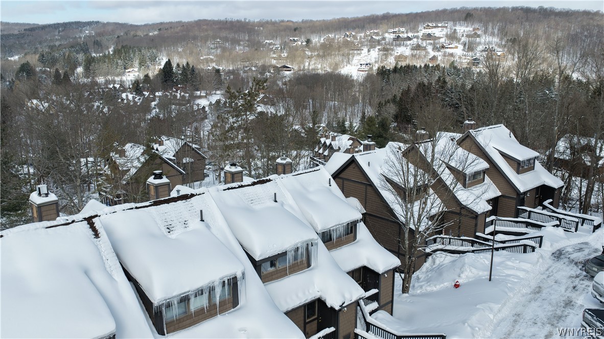 46 Sunset Road, Unit 46 Ellicottville, NY 14731 - Photo 50 of 50