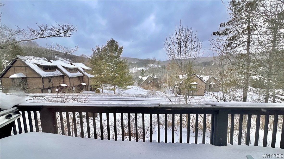 46 Sunset Road, Unit 46 Ellicottville, NY 14731 - Photo 8 of 50