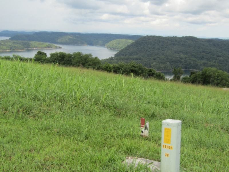 21 East Swan Ridge Road Celina, TN 38551 - Photo 11 of 27 a view of a lake with a mountain in the background