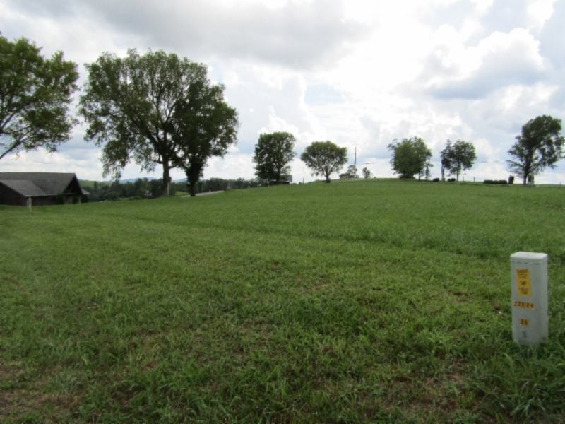 21 East Swan Ridge Road Celina, TN 38551 - Photo 15 of 27 a view of a field of grass and trees