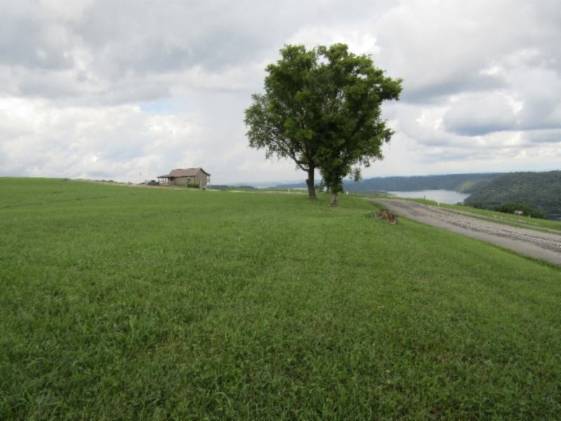 21 East Swan Ridge Road Celina, TN 38551 - Photo 16 of 27 a view of a garden with a tree