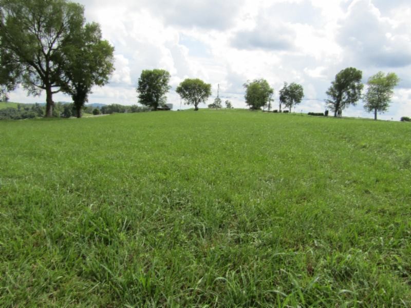 21 East Swan Ridge Road Celina, TN 38551 - Photo 3 of 27 a view of a grassy field with trees in the background