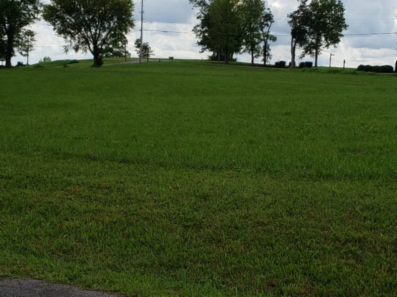 21 East Swan Ridge Road Celina, TN 38551 - Photo 22 of 27 a view of grassy field with trees