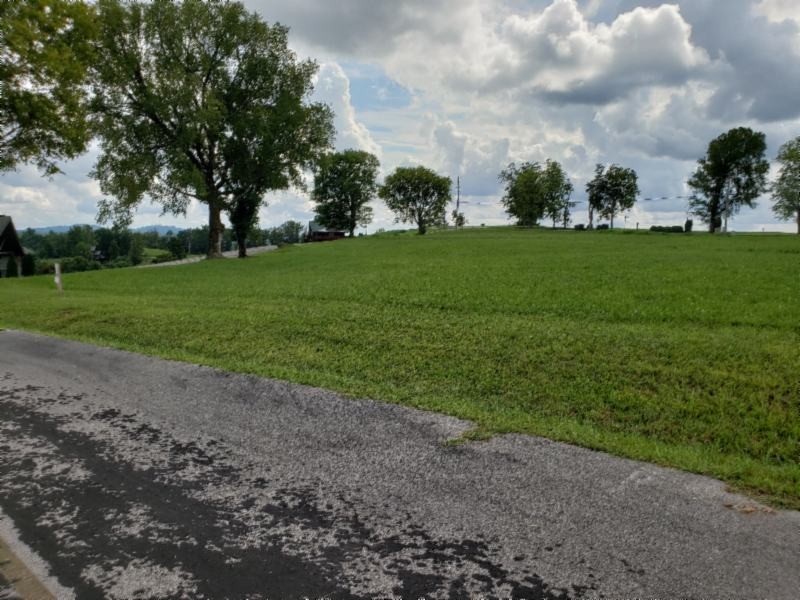 21 East Swan Ridge Road Celina, TN 38551 - Photo 23 of 27 a view of a park and trees