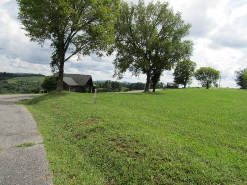 21 East Swan Ridge Road Celina, TN 38551 - Photo 6 of 27 a view of an outdoor space and yard