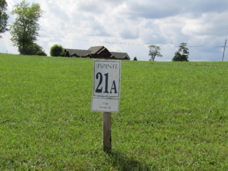 21 East Swan Ridge Road Celina, TN 38551 - Photo 7 of 27 a view of a back yard