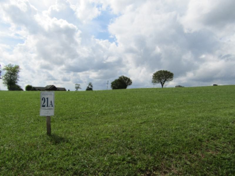 21 East Swan Ridge Road Celina, TN 38551 - Photo 9 of 27 a view of a garden