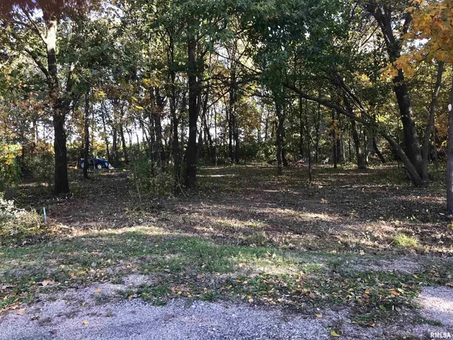 $35,000 | 7 Fernwood Court, Dahinda, IL 61428