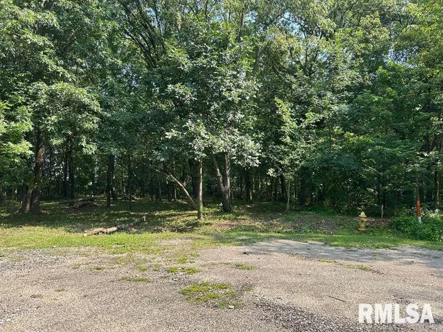 $35,000 | 7 Fernwood Court, Dahinda, IL 61428