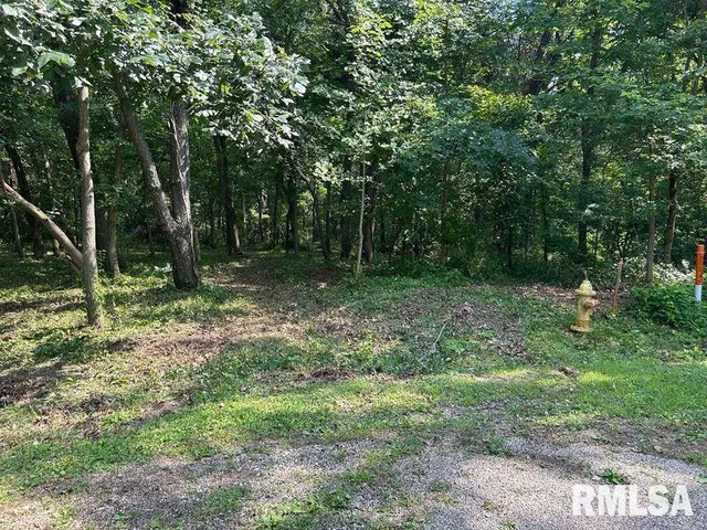 $35,000 | 7 Fernwood Court, Dahinda, IL 61428