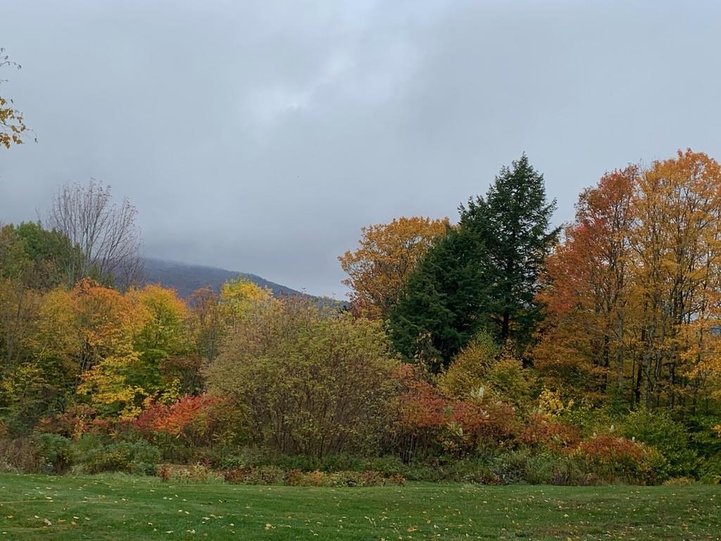 731 South Perry Road Barnard, VT 05091 - Photo 36 of 40