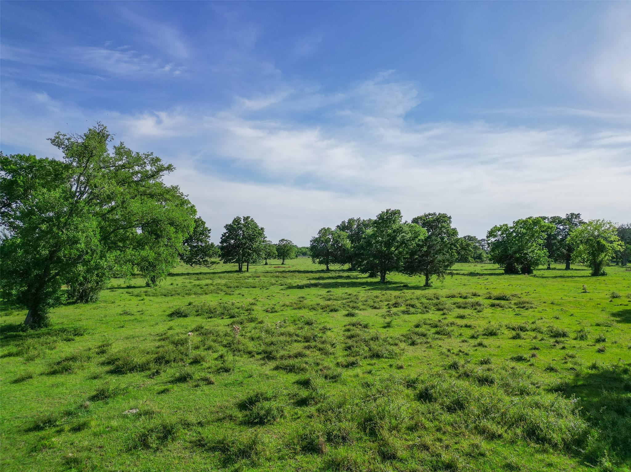 11250 Longstreet Road Willis, TX 77318 - Photo 11 of 21