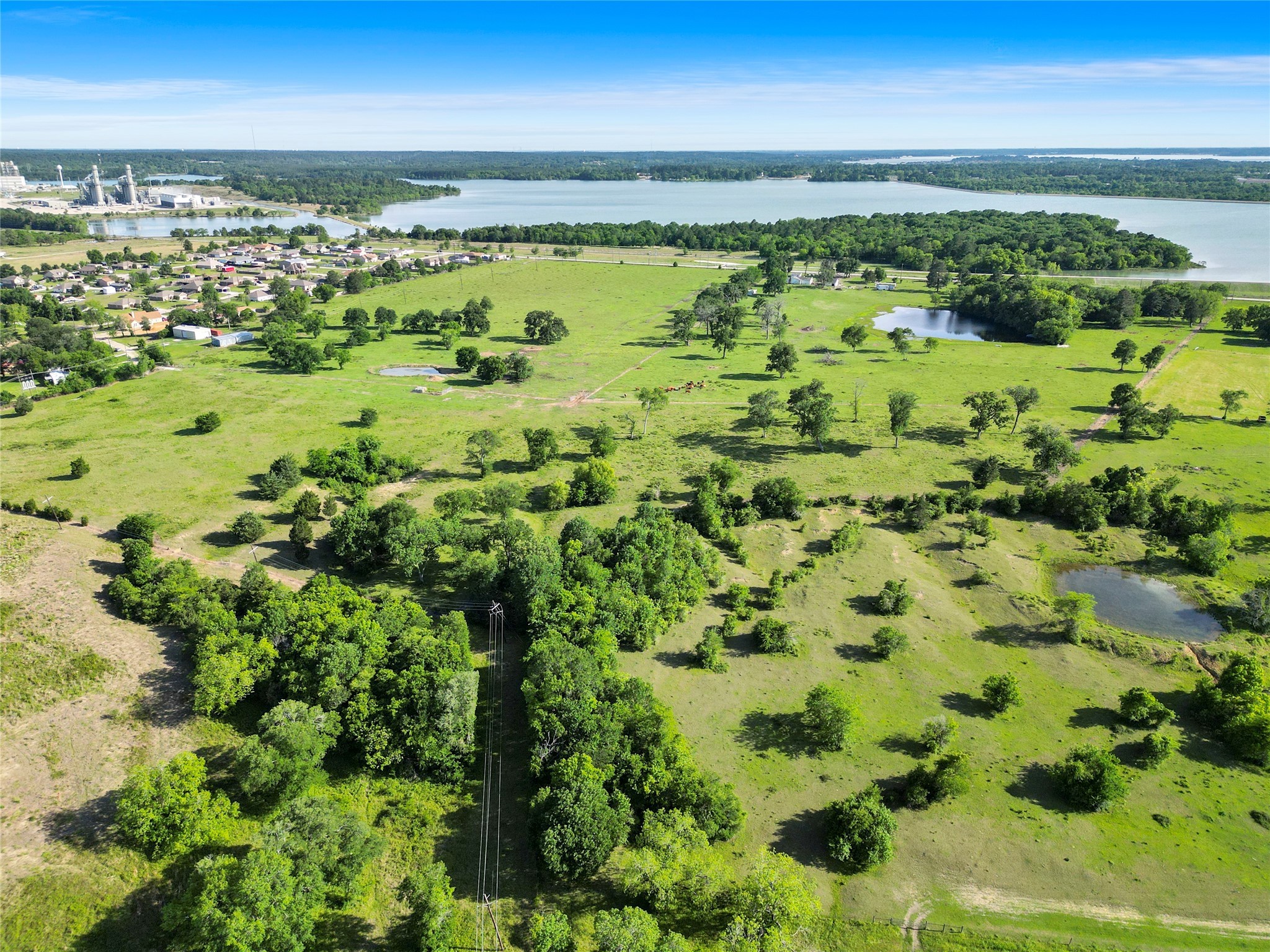 11250 Longstreet Road Willis, TX 77318 - Photo 2 of 21