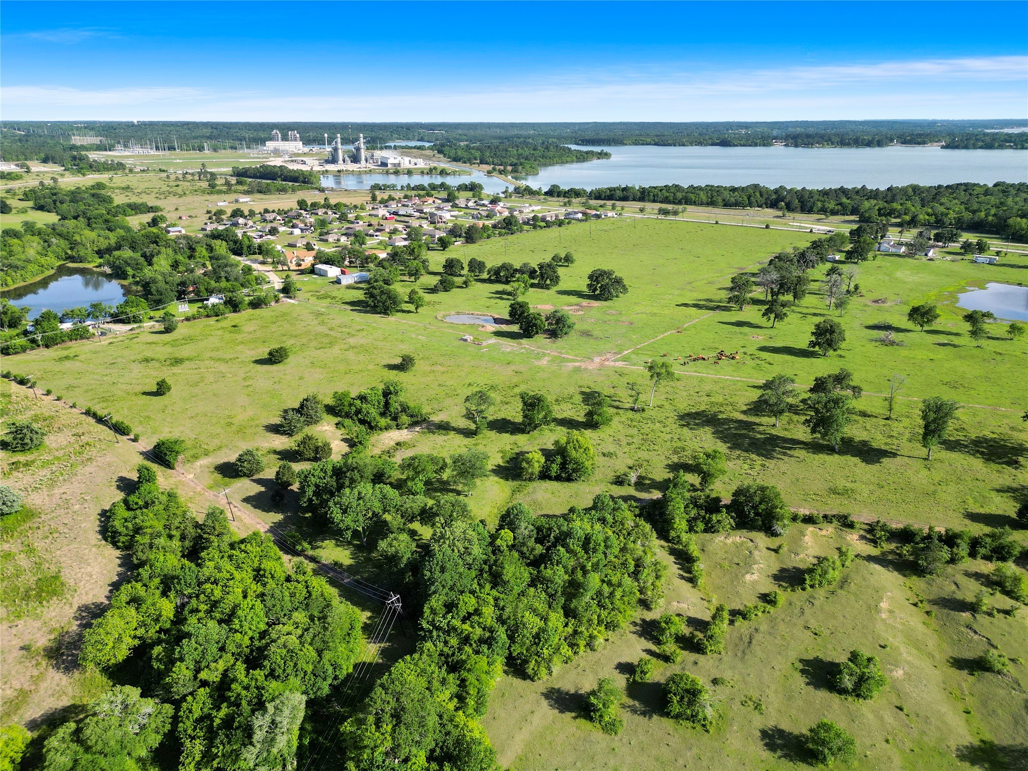 11250 Longstreet Road Willis, TX 77318 - Photo 6 of 21