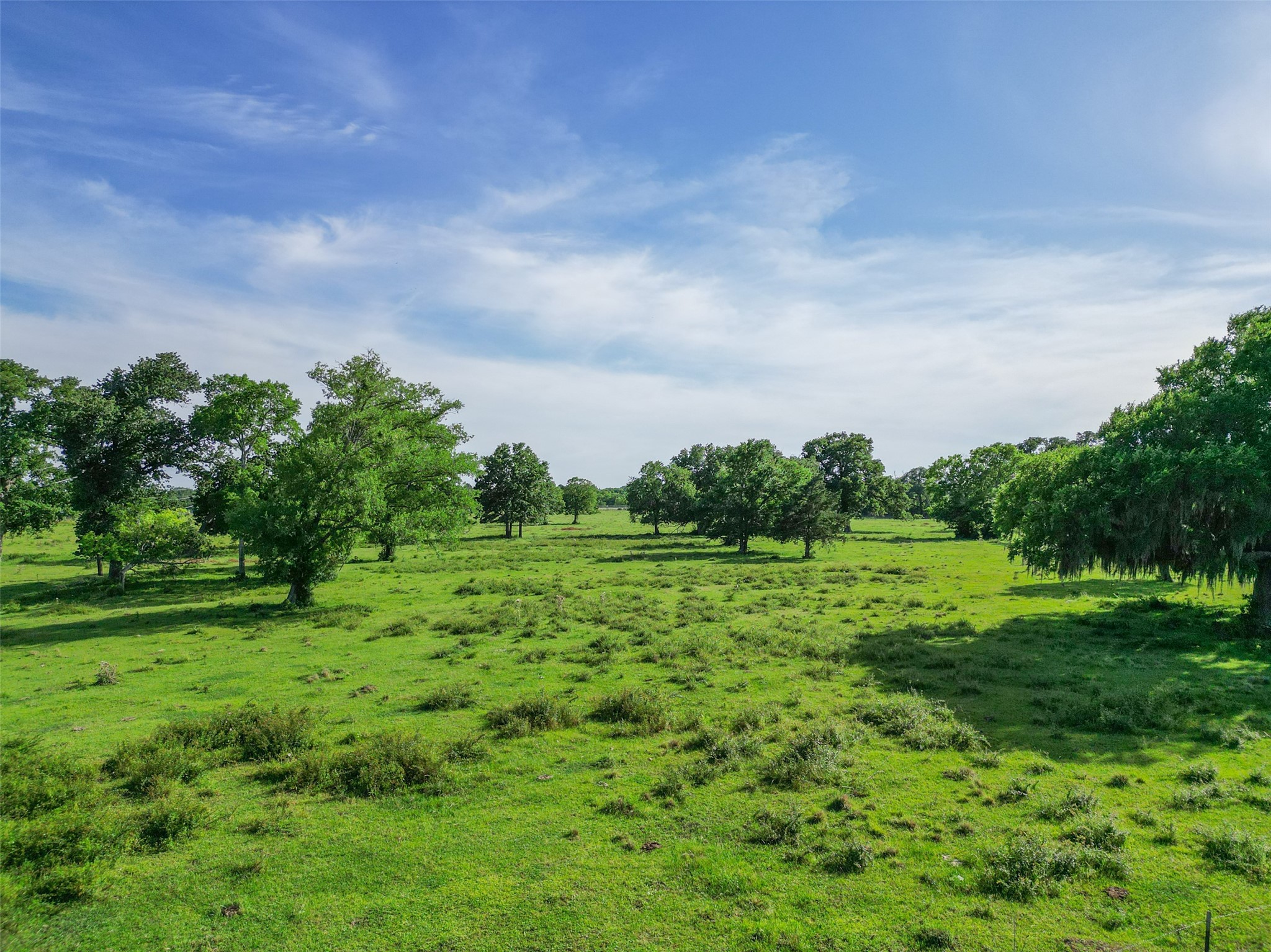 11250 Longstreet Road Willis, TX 77318 - Photo 9 of 21