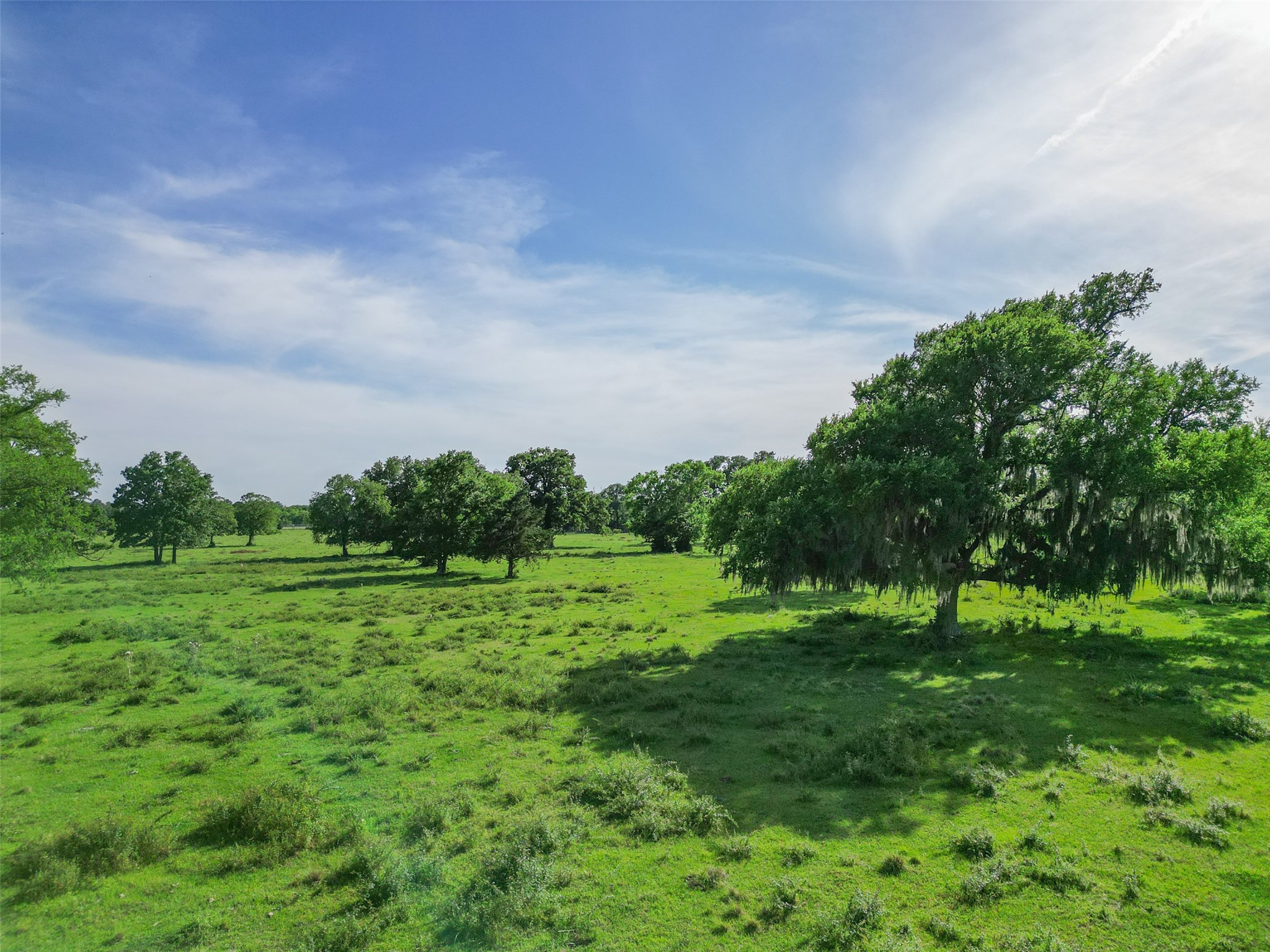 11250 Longstreet Road Willis, TX 77318 - Photo 10 of 21