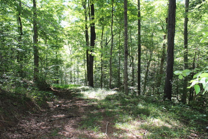 859 Rumbo Road Jamestown, KY 42629 - Photo 179 of 186 179