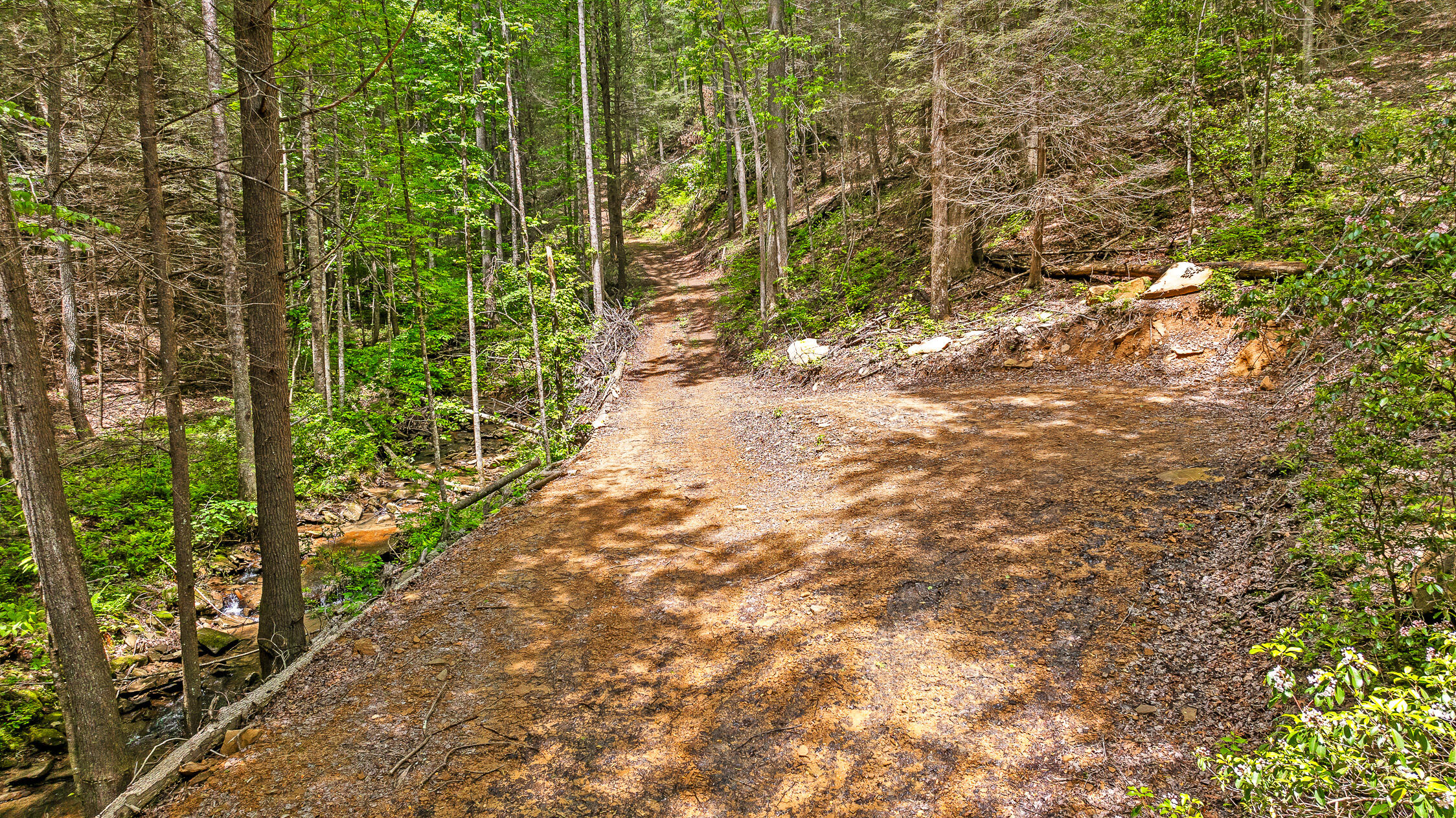 0 Dandy Road, Unit LOT 13 & 14 Signal Mountain, TN 37377 - Photo 23 of 40 56-Dandy-56