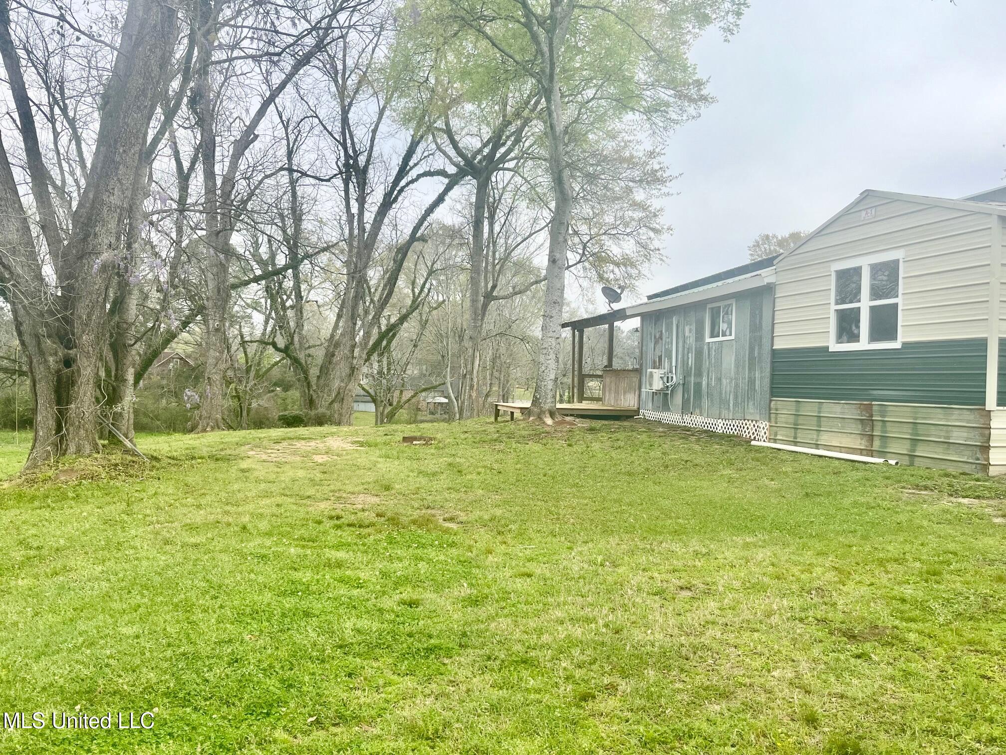 17 B Street Bay Springs, MS 39422 - Photo 28 of 28 Side Yard