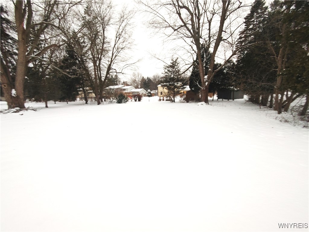 4750 Schurr Road Clarence, NY 14031 - Photo 3 of 36