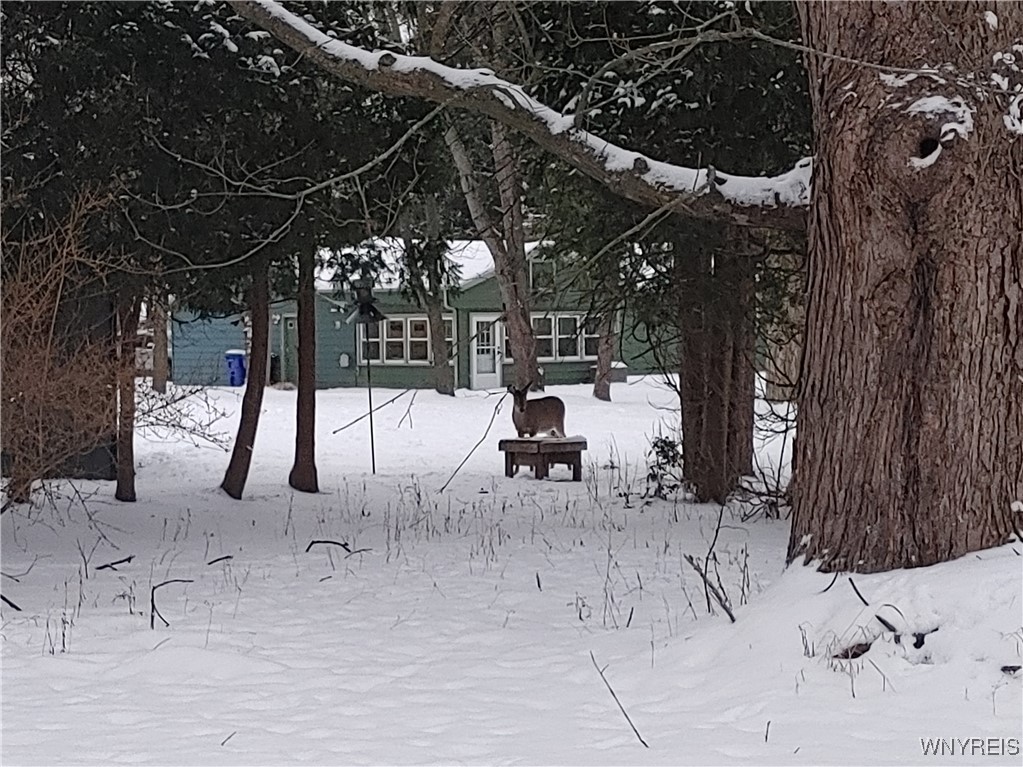 4750 Schurr Road Clarence, NY 14031 - Photo 4 of 36