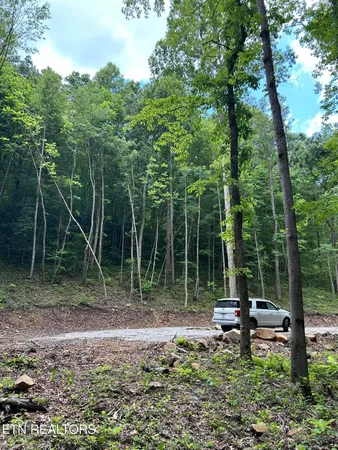 $372,000 | 143 Elk Ridge Lane, Newcomb, TN 37819