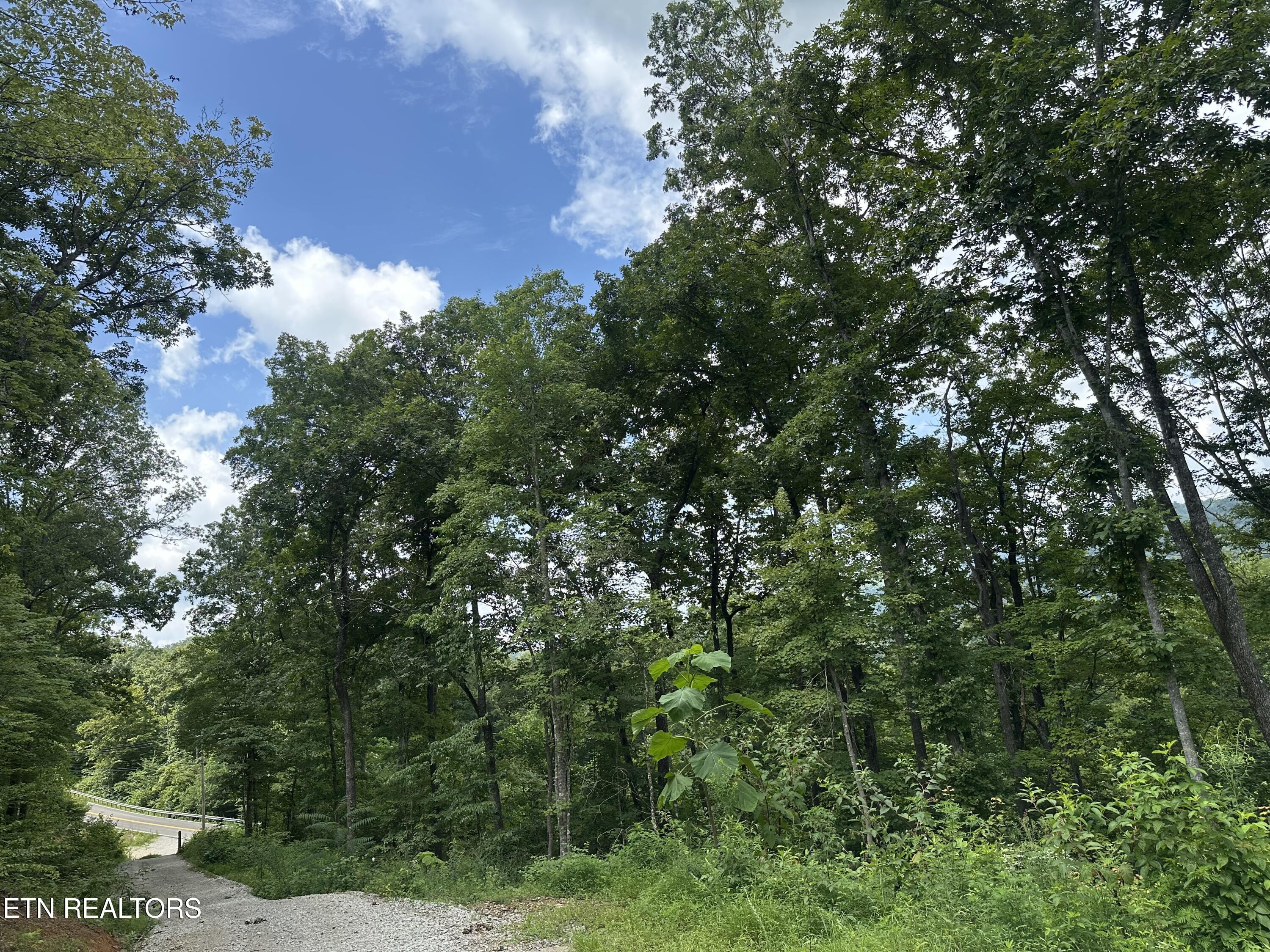 143 Elk Ridge Lane Newcomb, TN 37819 - Photo 16 of 52 IMG_8489