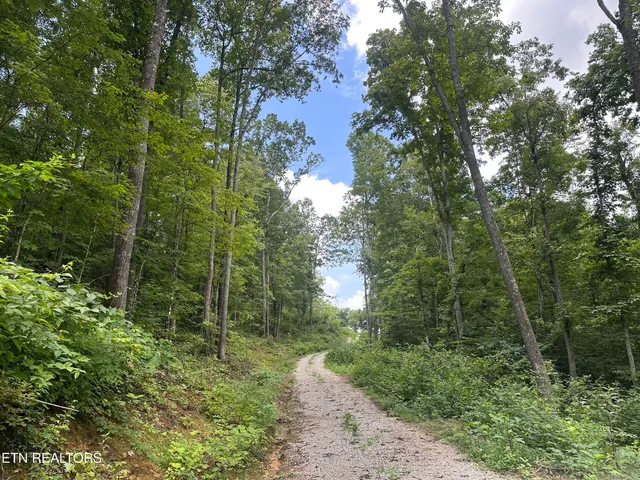 $393,500 | 143 Elk Ridge Lane, Newcomb, TN 37819