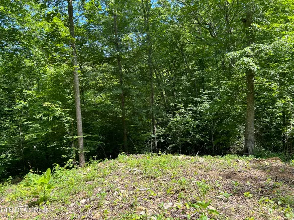 $372,000 | 143 Elk Ridge Lane, Newcomb, TN 37819