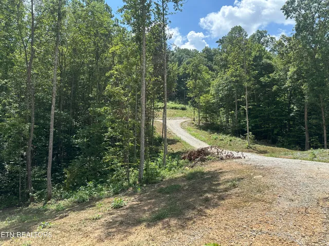 $393,500 | 143 Elk Ridge Lane, Newcomb, TN 37819