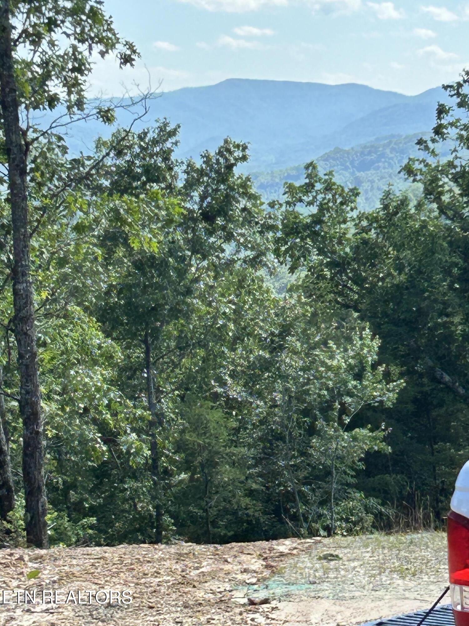 143 Elk Ridge Lane Newcomb, TN 37819 - Photo 23 of 52 IMG_6420