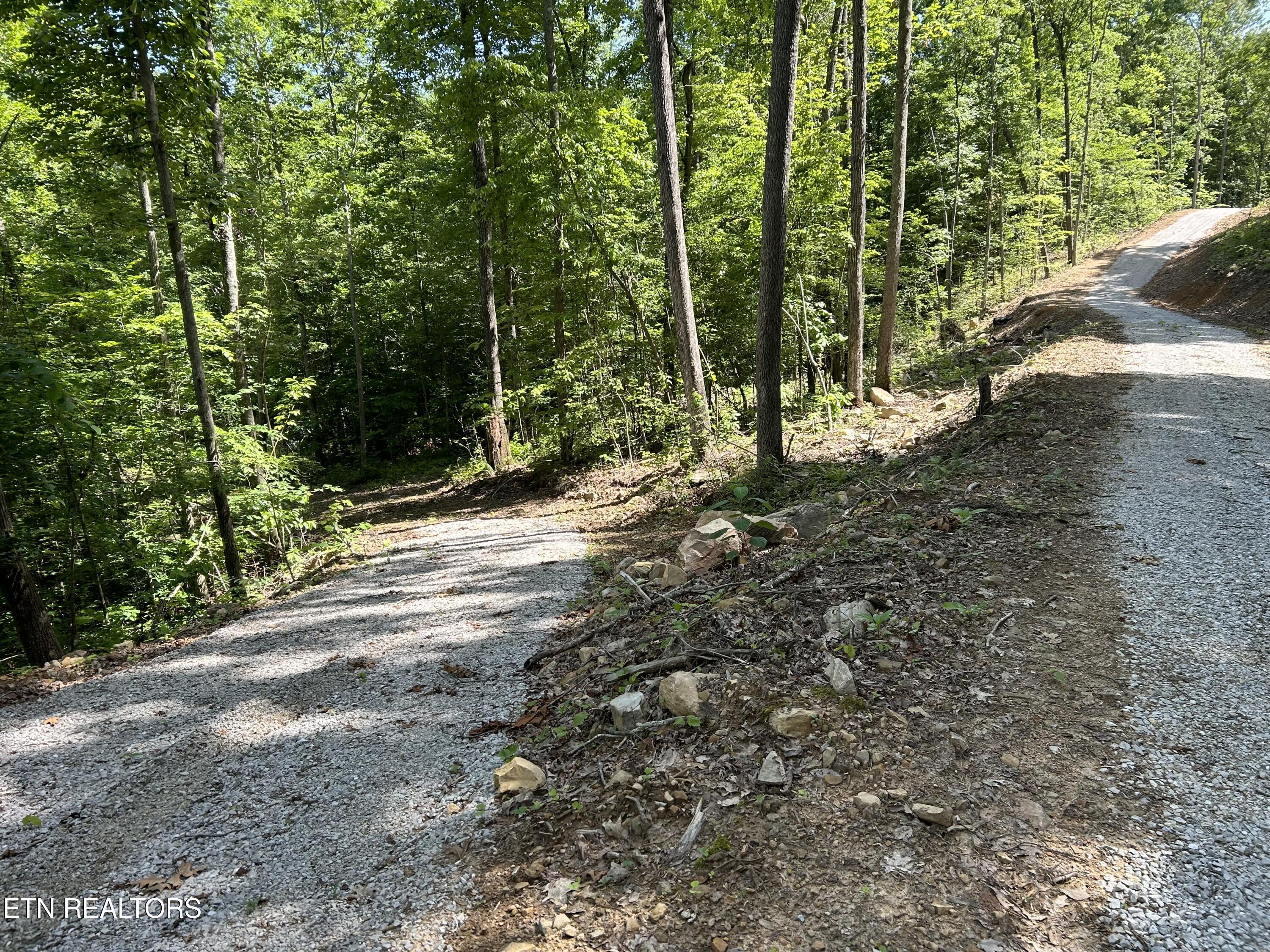 143 Elk Ridge Lane Newcomb, TN 37819 - Photo 24 of 52 IMG_6431