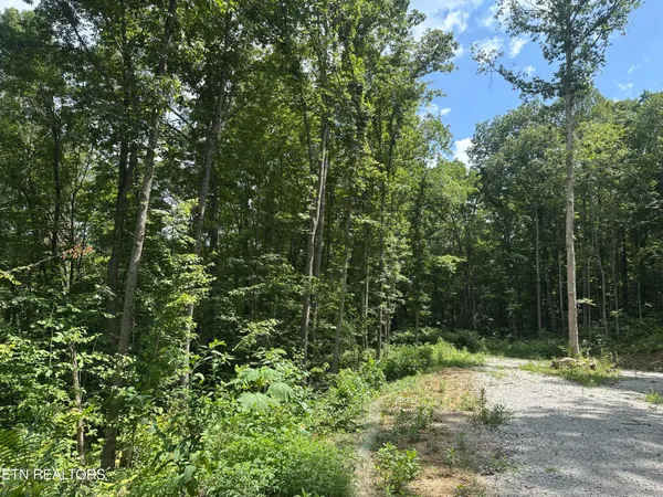 $372,000 | 143 Elk Ridge Lane, Newcomb, TN 37819