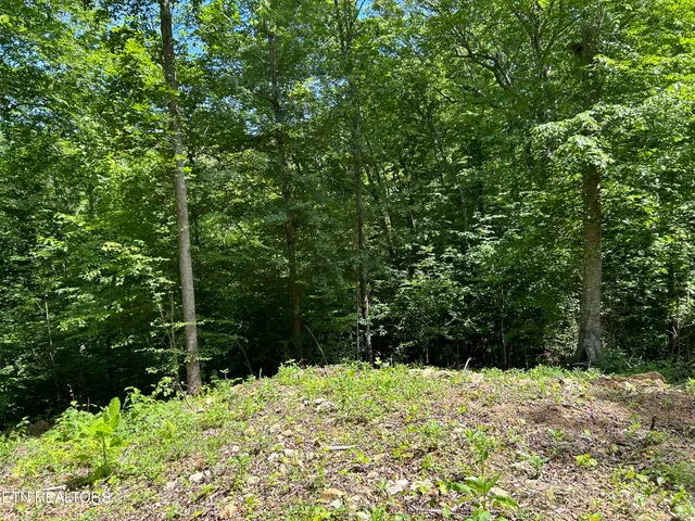 $393,500 | 143 Elk Ridge Lane, Newcomb, TN 37819