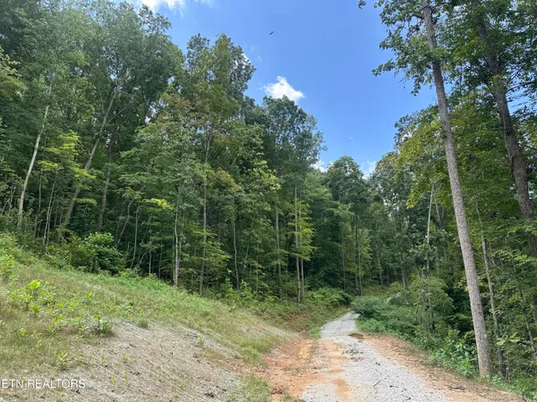 $372,000 | 143 Elk Ridge Lane, Newcomb, TN 37819