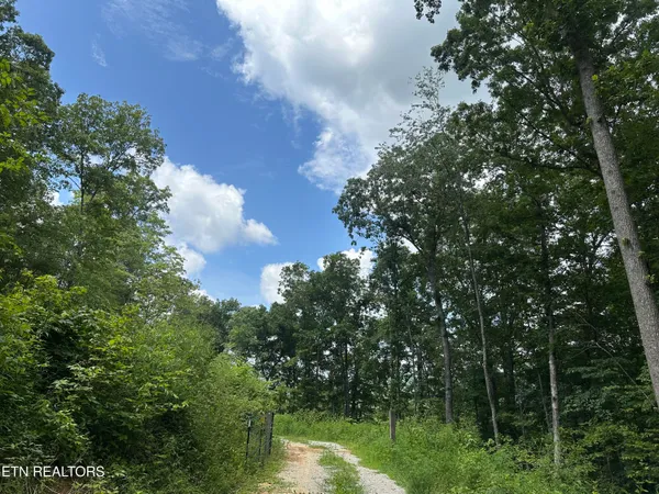 $372,000 | 143 Elk Ridge Lane, Newcomb, TN 37819