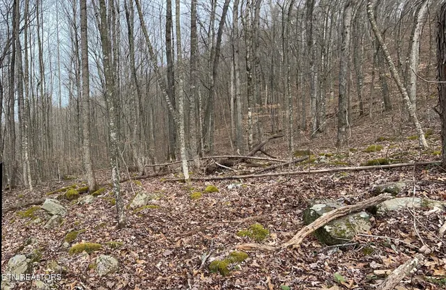 $393,500 | 143 Elk Ridge Lane, Newcomb, TN 37819