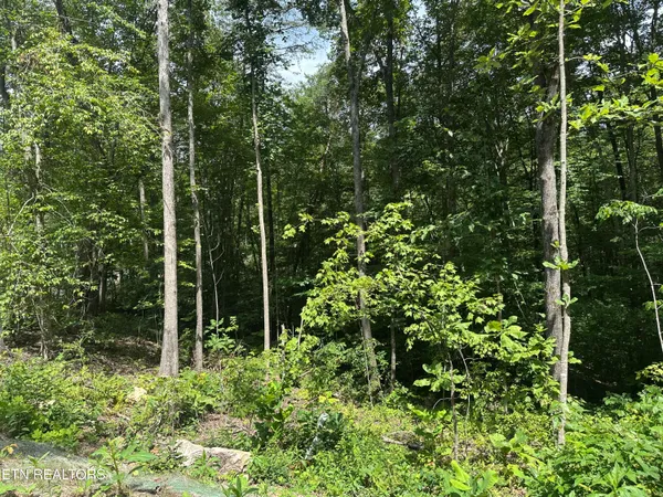 $372,000 | 143 Elk Ridge Lane, Newcomb, TN 37819