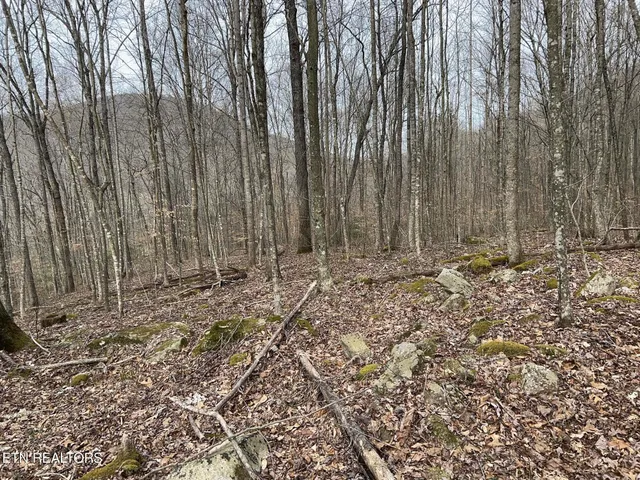 $393,500 | 143 Elk Ridge Lane, Newcomb, TN 37819