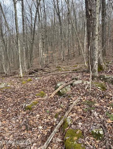 $393,500 | 143 Elk Ridge Lane, Newcomb, TN 37819