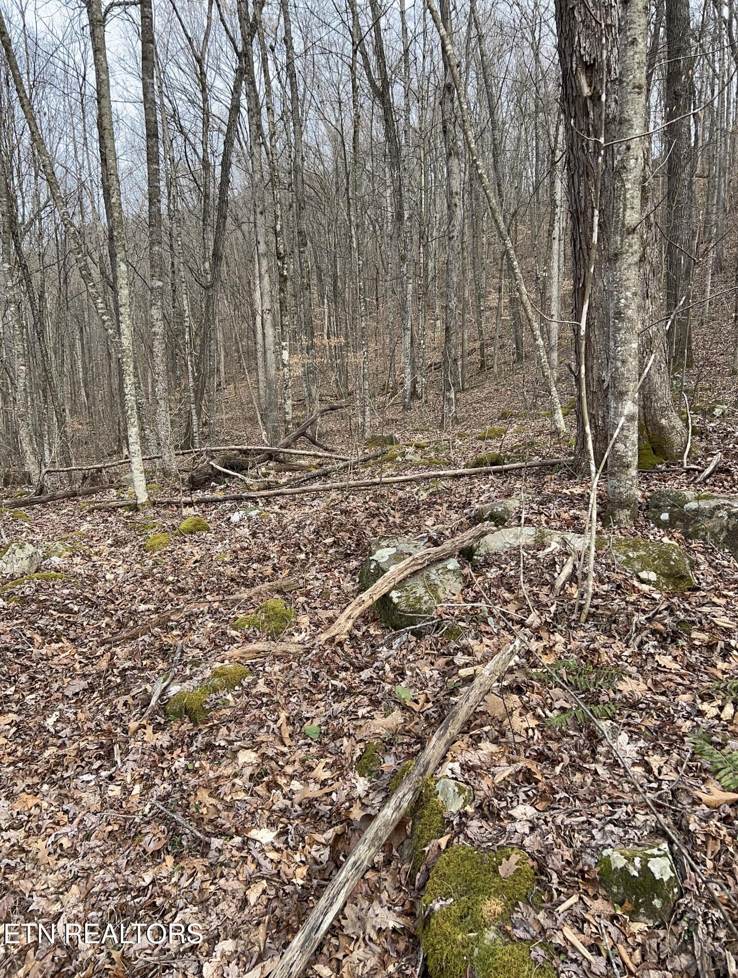 143 Elk Ridge Lane Newcomb, TN 37819 - Photo 28 of 52 IMG_6103