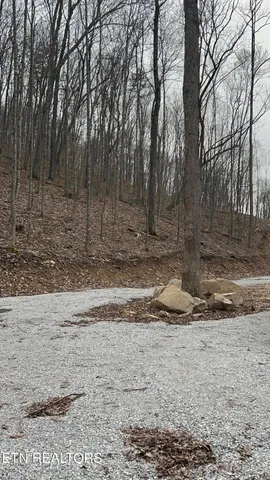 $393,500 | 143 Elk Ridge Lane, Newcomb, TN 37819