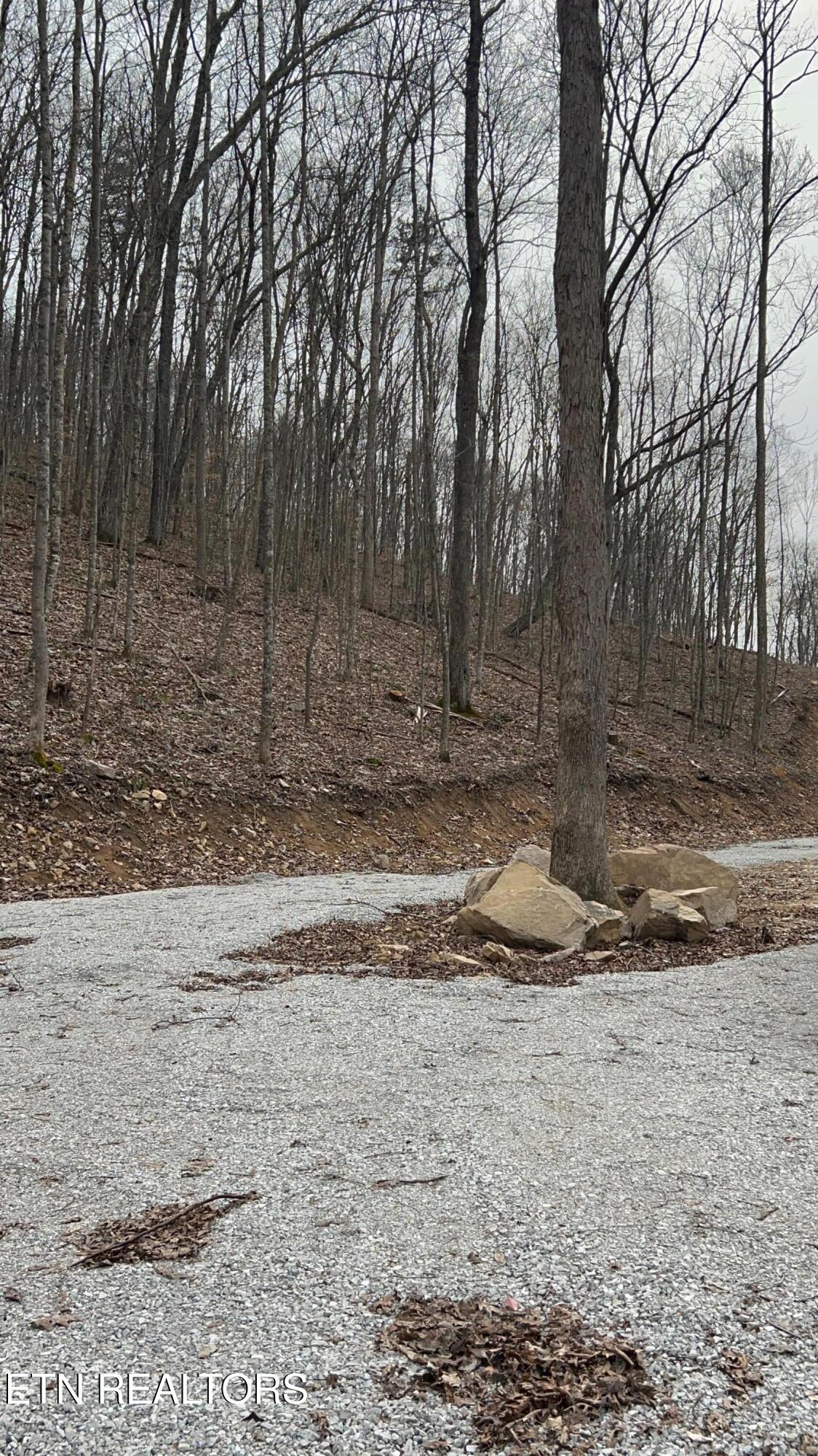 143 Elk Ridge Lane Newcomb, TN 37819 - Photo 29 of 52 IMG_6108