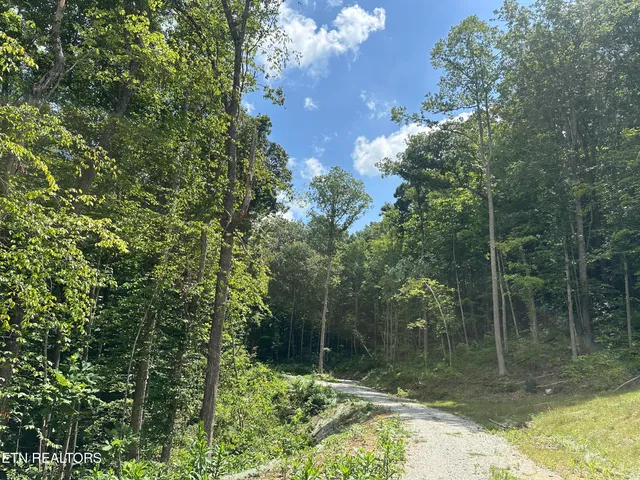 $393,500 | 143 Elk Ridge Lane, Newcomb, TN 37819