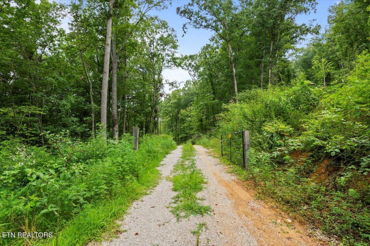 143 Elk Ridge Lane Newcomb, TN 37819 - Photo 31 of 45 13-Elk Rdg