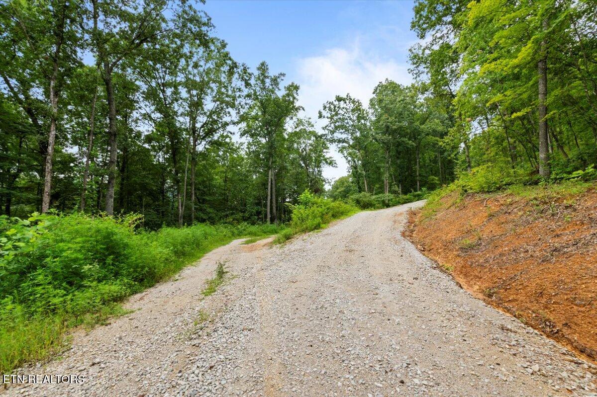 143 Elk Ridge Lane Newcomb, TN 37819 - Photo 32 of 45 14-Elk Rdg