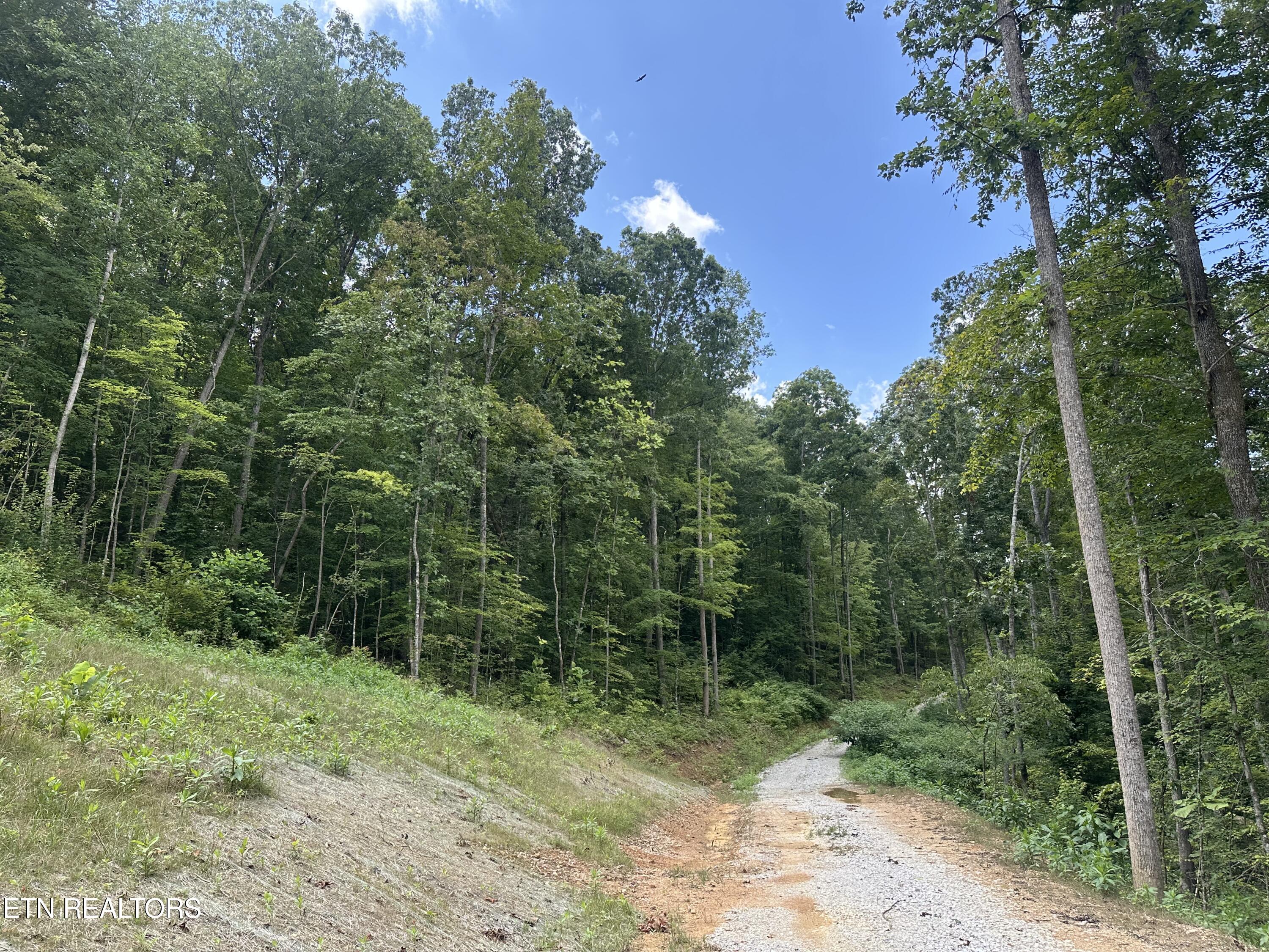 143 Elk Ridge Lane Newcomb, TN 37819 - Photo 32 of 52 IMG_8486