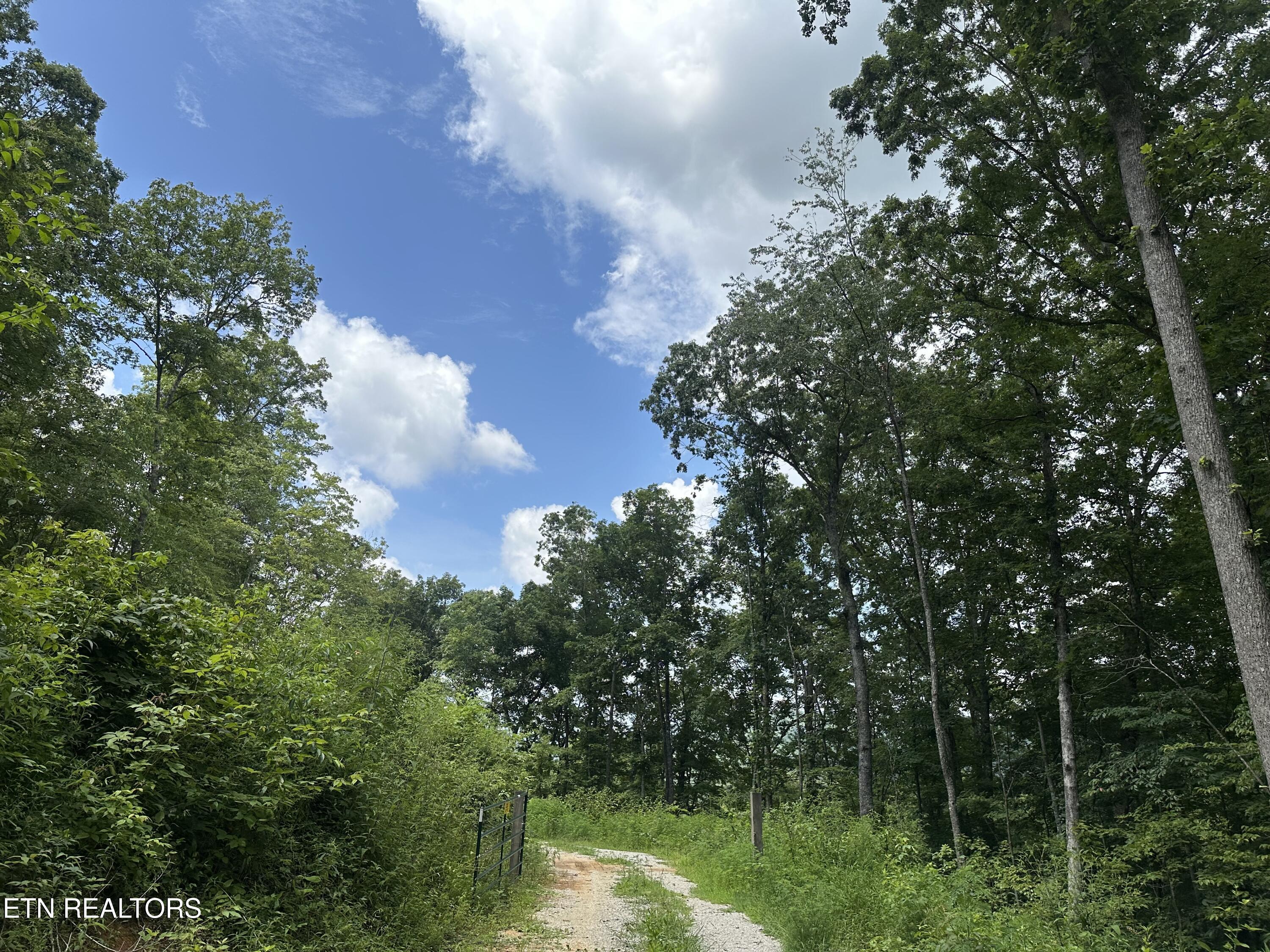 143 Elk Ridge Lane Newcomb, TN 37819 - Photo 33 of 52 IMG_8488