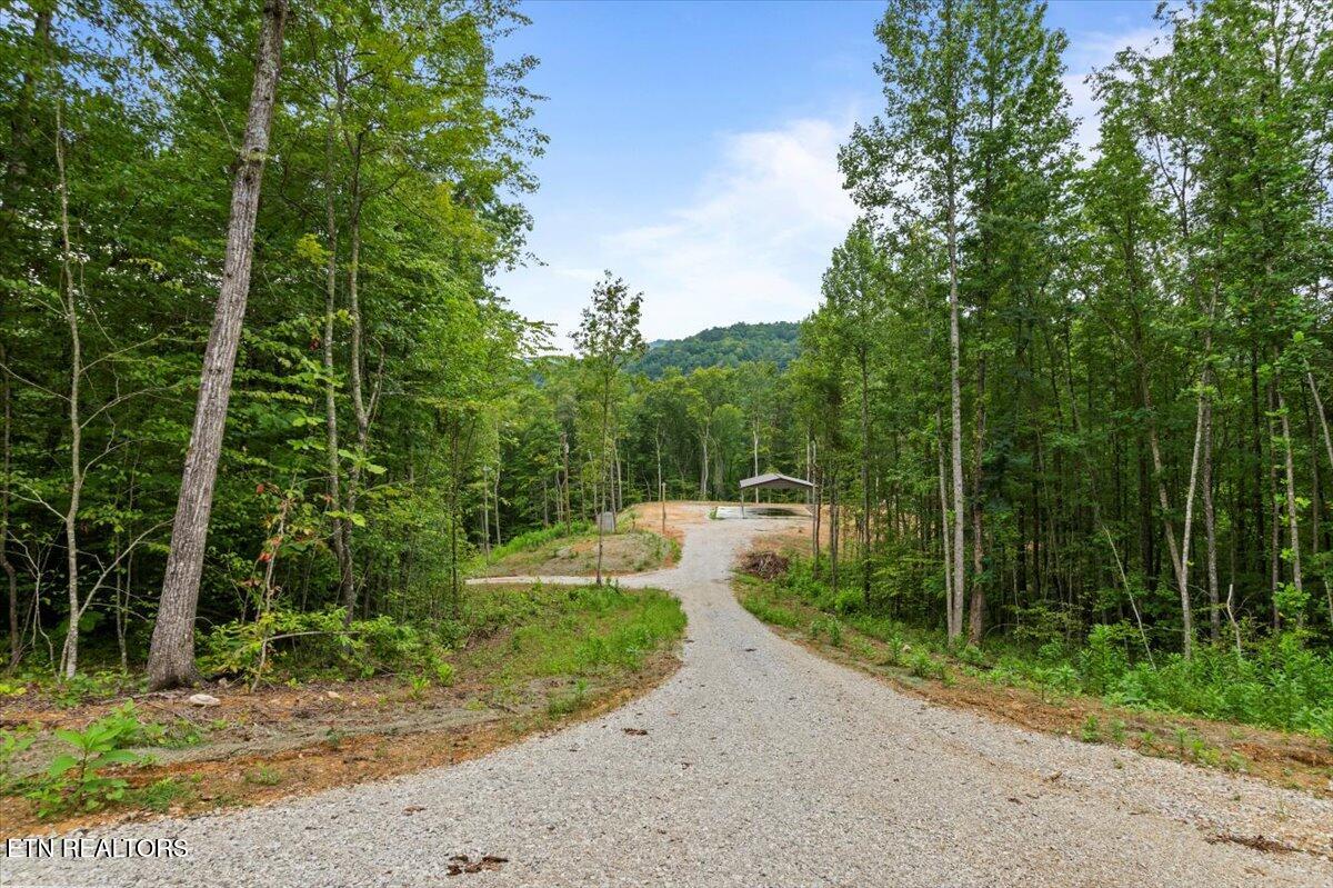 143 Elk Ridge Lane Newcomb, TN 37819 - Photo 33 of 45 15-Elk Rdg