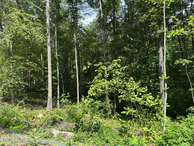 $393,500 | 143 Elk Ridge Lane, Newcomb, TN 37819